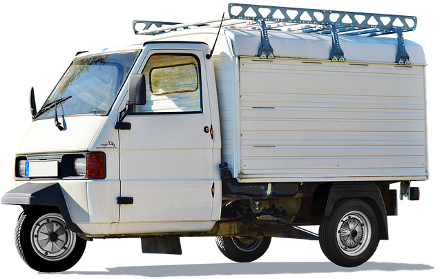 ape-3590161_640